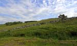 Cairngorms  National  Park 